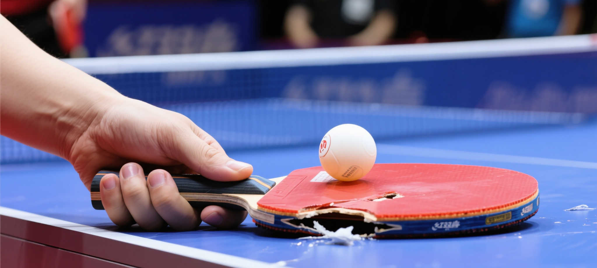 极速体育直播注册送彩金